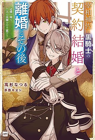 Cover image for the novel called Marriage, Divorce, and Beyond: The White Mage and Black Knight's Romance Reignited