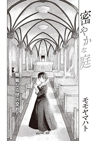 Cover image for the other called Secret Garden