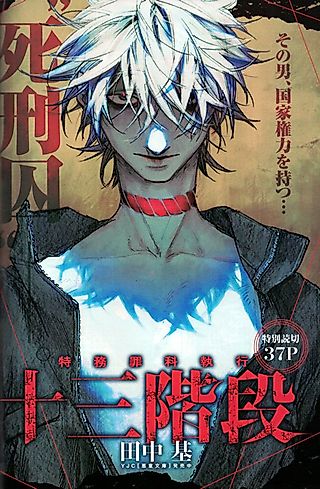 Cover image for the other called Tokumu Zaika Shikkou Juusan Kaidan