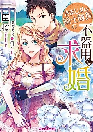 Cover image for the novel called Kimajime na Kishi Taichou no Bukiyou na Kyuukon