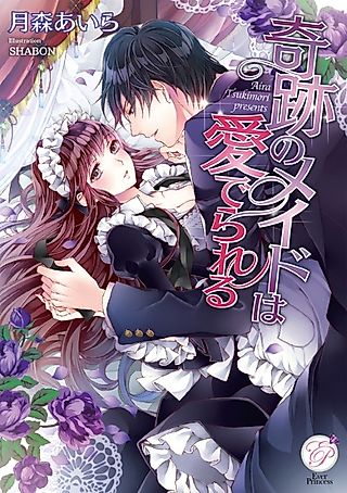 Cover image for the novel called Kiseki no Maid wa Mederareru