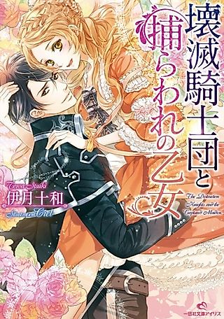 Cover image for the novel called The Destruction Knights and the Captured Maiden