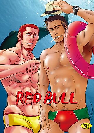 Cover image for the other called Akai Rousoku to (Otoko) Ningyo