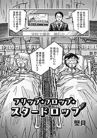 Cover image for the other called Flip Flop Star Drop