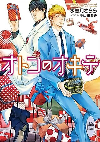 Cover image for the novel called Otoko no Okite