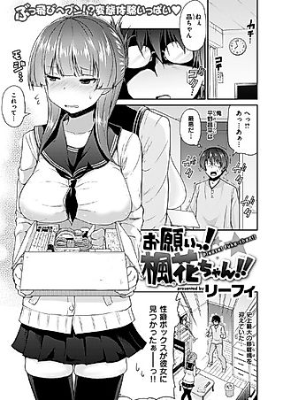 Cover image for the other called Please! Fuuka-Chan!!