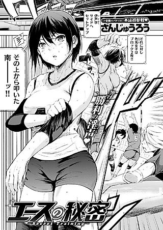 Cover image for the other called Ace's Secret
