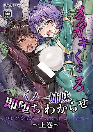 Cover image for the other called Mesugaki & Kukkoro Kunoichi Shimai Sokuochi Wakarase Collection