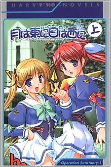 Cover image for the novel called Operation Sanctuary