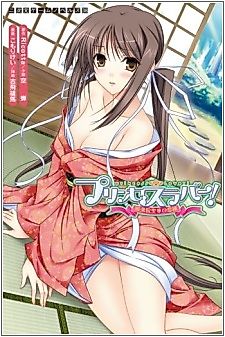 Cover image for the novel called Princess Lover! Houjouin Seika no Koiji