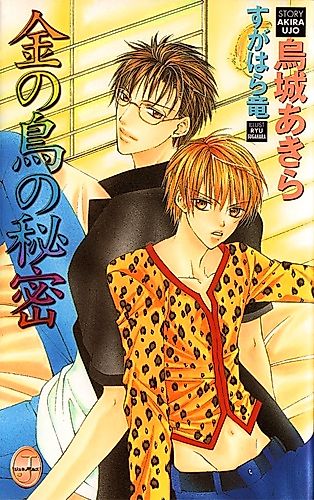 Cover image for the novel called Kin no Tori no Himitsu