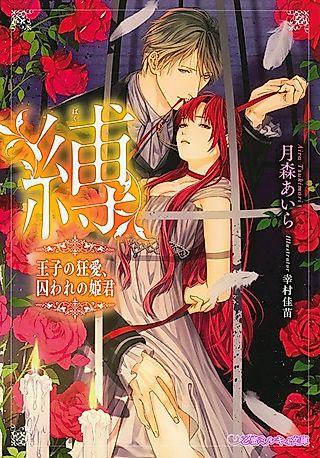Cover image for the novel called Baku: Ouji no Kyouai, Toraware no Himegimi