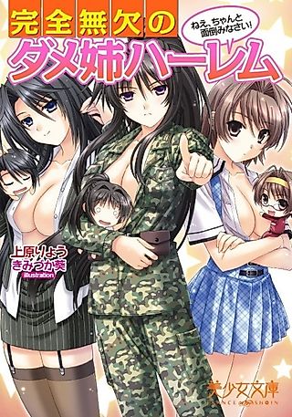 Cover image for the novel called Kanzen Muketsu no Dame Ane Harem: Nee, Chanto Mendou Minasai!