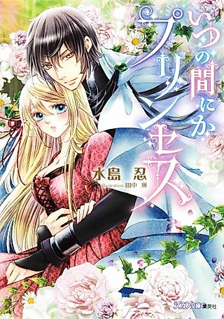 Cover image for the novel called Itsunomanika Princess