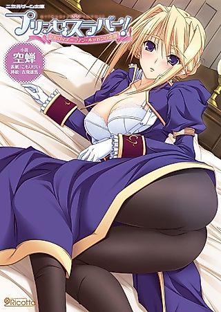 Cover image for the novel called Princess Lover! Sylvia van Hossen no Koiji