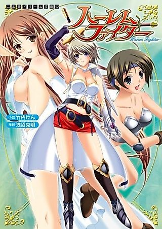 Cover image for the novel called Harem Fighter