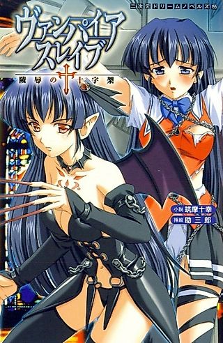Cover image for the novel called Vampire Slave: Ryoujoku no Juujika
