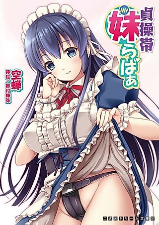 Cover image for the novel called Teisoutai Mai Lover
