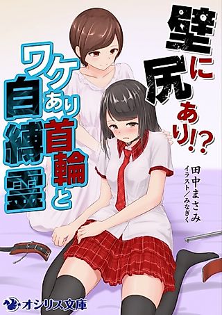 Cover image for the novel called Kabe ni Shiri Ari!? Wakeari Kubiwa to Jibakurei
