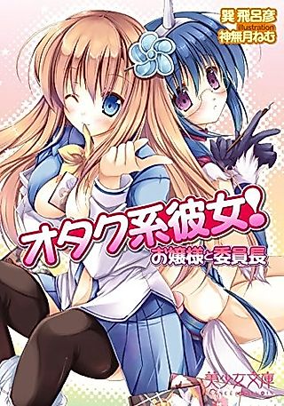 Cover image for the novel called Otaku-kei Kanojo! Ojousama to Iinchou