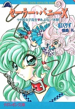 Cover image for the novel called Sailor Bunny X: Usamimi Joshikousei♡Abunai Taiken
