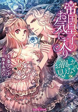 Cover image for the novel called Teitoku Ouji no Okiniiri: Omae shika Mienai