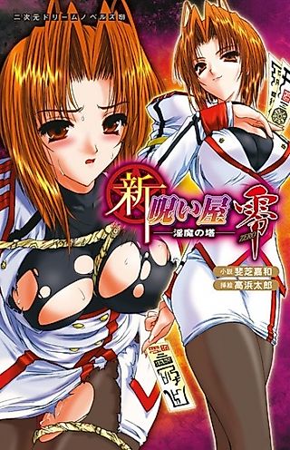 Cover image for the novel called Shin Noroiya Zero