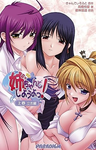 Cover image for the novel called Ane, Chanto Shiyou Yo!
