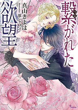 Cover image for the novel called Tsunagareta Yokubou