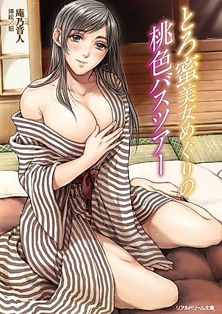 Cover image for the novel called Toromitsu Bijo Meguri no Momoiro Bus Tour