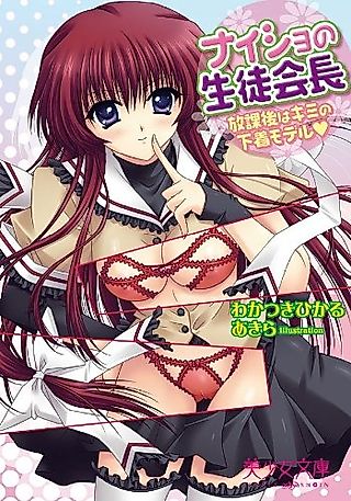 Cover image for the novel called Naisho no Seitokaichou: Houkago wa Kimi no Shitagi Model