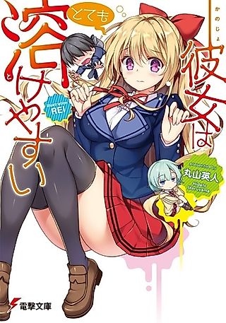 Cover image for the novel called Kanojo wa Totemo Tokeyasui