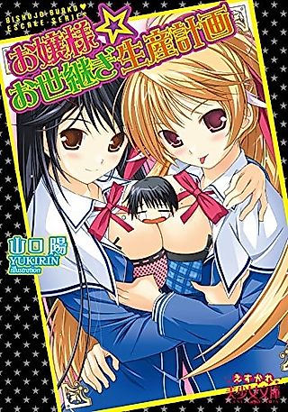 Cover image for the novel called Ojousama☆Oyotsugi Seisan Keikaku