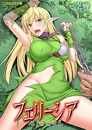 Cover image for the novel called Feliecia Elf no Moribito