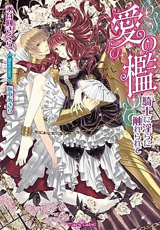 Cover image for the novel called Ai no Ori: Kishi ni Midara ni Furerarete