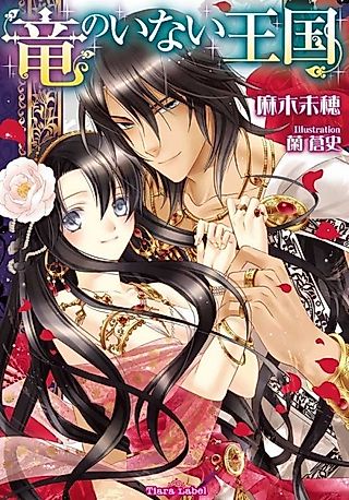 Cover image for the novel called Ryuu no Inai Oukoku