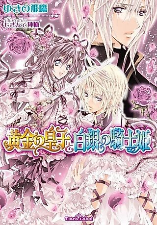 Cover image for the novel called Kin no Ouji to Gin no Kishi Hime