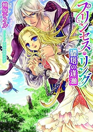 Cover image for the novel called Princess Ring: Tattou no Ouse