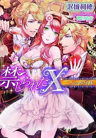 Cover image for the novel called Kinjirareta X: Futari no Oniisama