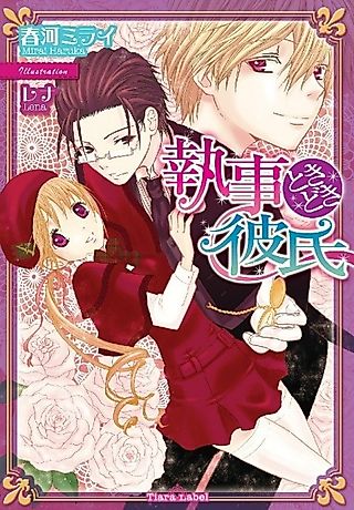 Cover image for the novel called Shitsuji Tokidoki Kareshi