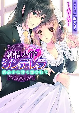 Cover image for the novel called Junjou Maid♥Cinderella: Kikoushi ni Amaku Aisarete