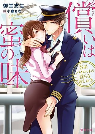 Cover image for the novel called Tsugunai wa Mitsu no Aji: S-kei Pilot no Midara na Oshioki