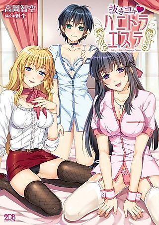 Cover image for the novel called Nukikoki ♥ Hanitora Esute