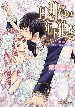 Cover image for the novel called Dannasama wa Toshishita Ookami!? Hajirai Noble Wedding