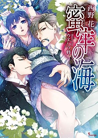 Cover image for the novel called Mitsurou no Umi