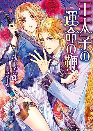 Cover image for the novel called Outaishi no Unmei no Muchi