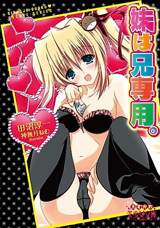 Cover image for the novel called Imouto wa Ani Senyou.
