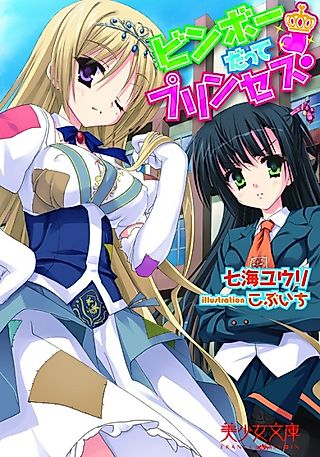 Cover image for the novel called Binbou Datte Princess!