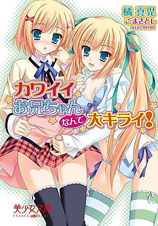 Cover image for the novel called Kawaii Onii-chan Nante Daikirai!