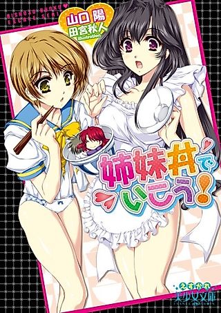 Cover image for the novel called Shimaidon de Ikou!